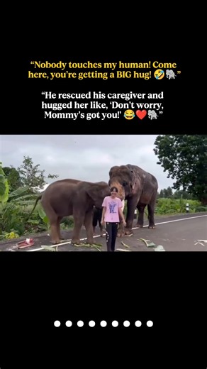 “He saw another elephant lifting his human and immediately activated RESCUE MODE! 😂🐘”