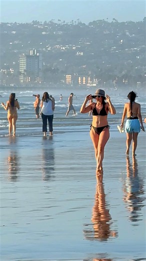 🌊 San Diego A Perfect Day