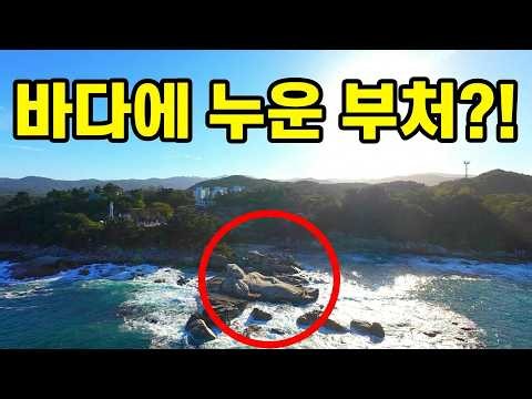 바다에 누운 관세음보살 바위가 발견된 신비한 암자 안에 들어가면 놀라운 비밀 #오지산골다큐