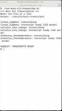 Can Buzz Transcribe Real MIT Lectures? Local Whisper Notes Tested