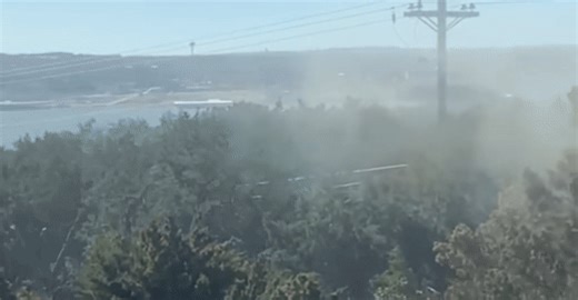 Don't let your allergy guard down; incoming cold front could spike cedar pollen again