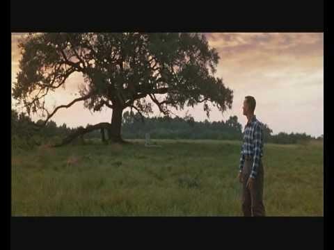 Forrest Gump - Sweet Home Alabama | Gauthier Pascal