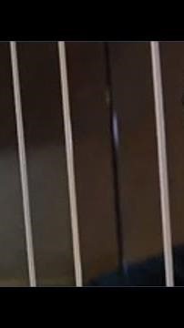 Potluck in the Park serves over 1,000 on Christmas