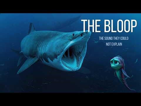 The Bloop: The Sound Scientists Still Can't Explain