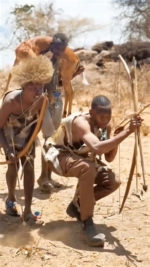 They Were Ready to Act… But Could They Get There in Time? 😱🏹 | Bush Awareness
