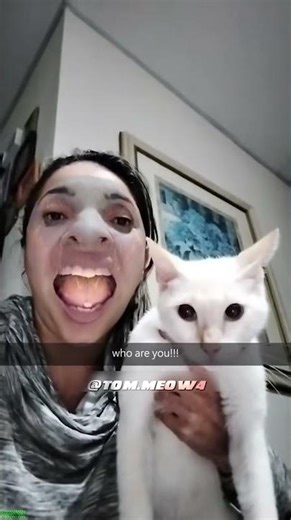 Alien Cat opens the door - Cat 2026 🤣 Endless Fun!