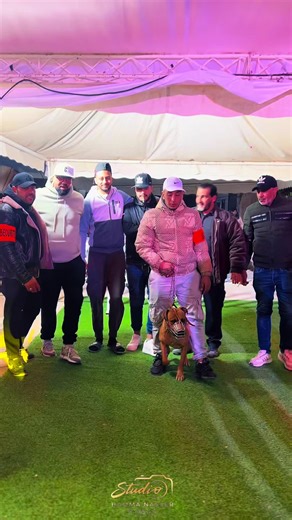 ناس القروان ورجال البورجي: أغاني الحب والمشاعر