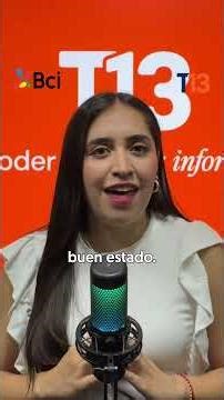 Registran a sujetos arrojando polluelos de gaviota al vacío en Maitencillo