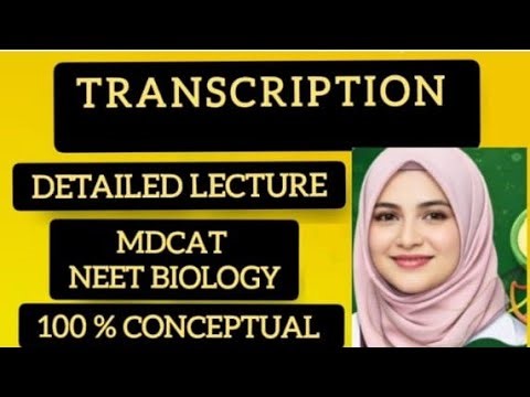 Transcription: Gene Expression | Mechanism – Detailed Explanation Conceptual (12 Biology) Urdu/Hindi