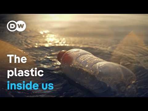 Nano- and micro-plastics: The invisible danger to the body | DW Documentary