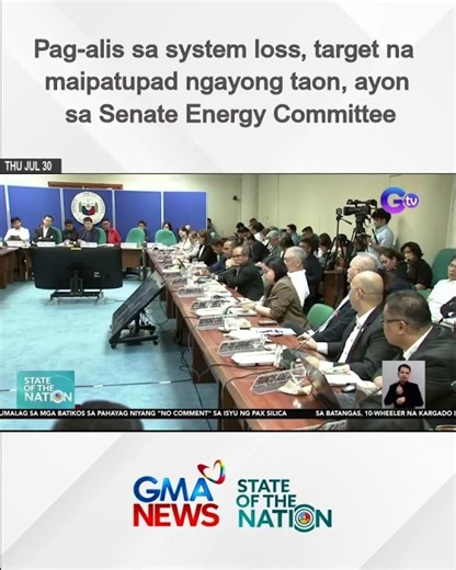 Pag-alis sa system loss, target na maipatupad ngayong taon, ayon sa Senate Energy Committee | SONA
