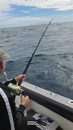 Finatic delivers again🎣🛥️#finaticcharters#capepoint#tuna#offshore