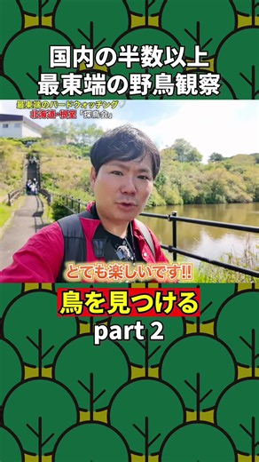 根室の探鳥会：野鳥観察の楽しみ方