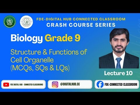 Structure & Functions of Cell Organelle | Biology | Grade 9 | Crash Course Series | FDE