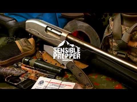 Guns & Ammo Choices for SHTF