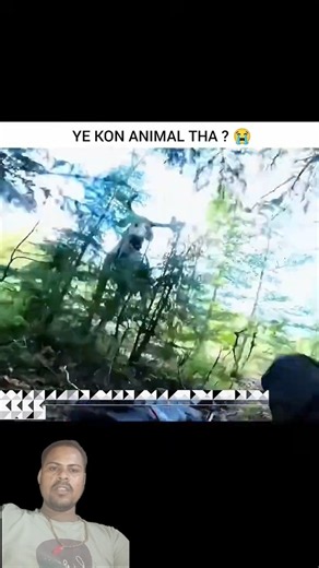 𝗔𝗻𝗶𝗺𝗮𝗹 𝗔𝘁𝘁𝗮𝗰𝗸 👿💥 𝗠𝗼𝘁𝗼𝘃𝗹𝗼𝗴𝘀 #shorts #motovlog #animals