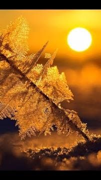 Daily AI Tech News Update