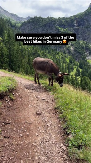 Herzogstand, Lower Gaisalpsee & Engeratsgundsee Hikes — Germany Trail Guide