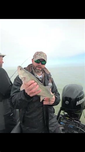 Lake Erie Spring 2026 Walleye Run