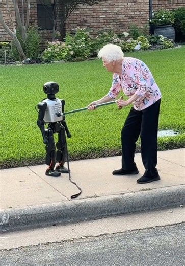 After all this AI news it sounds like the robots will be walking Granny by the end of the decade @RentBots #robots