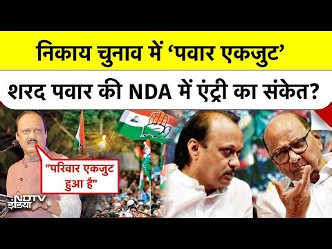 Maharashtra Politics: एक हुए चाचा-भतीजा! Pimpri-Chinchwad में Sharad and Ajit Pawar का महा-गठबंधन
