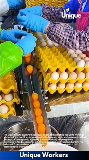 Egg Yolk Separation Process | Satisfying Factory Food Production