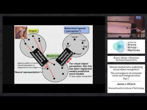 Brains, Minds and Machines Summer Course - MIT - Lec 1 - 3