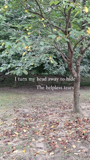 Barry Manilow - When October Goes