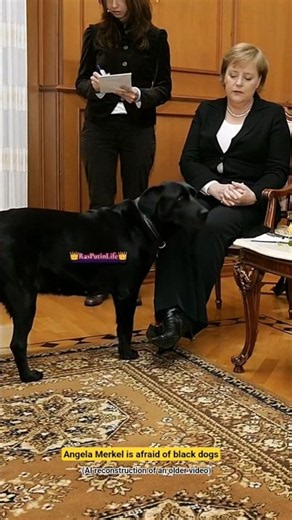 Angela Merkel and Putin's black dog (AI video reconstruction) #viral #edit #russia #shorts #putin