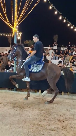 خيل رقص نمبر وان