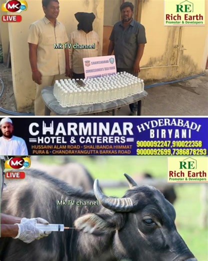 Doodh Dene ke liye Bhainson ko injections dene mamla Shamshabad Task force ne ek doddi waley ko kiya