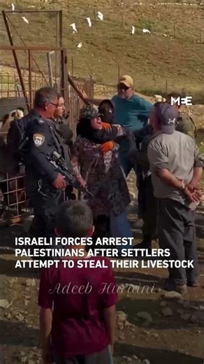 Israeli forces assault and arrest Palestinians after settlers attempt to steal their livestock