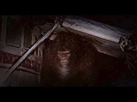 The WORLD Scariest NEW Bigfoot Footage SO TERRIFYING It'll Make YOU Believe!