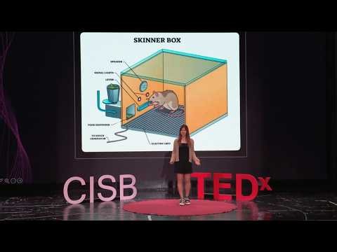 The Hidden Rule  | Angela Wang | TEDxCISB Youth