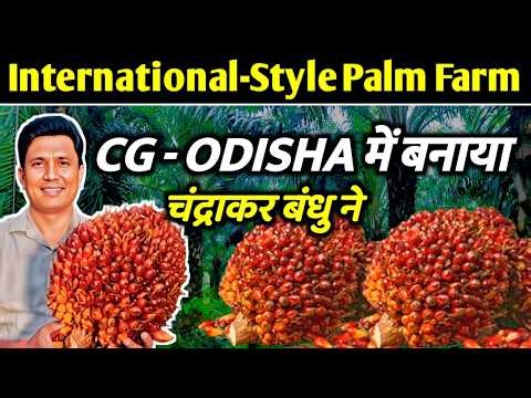 👉 77 Acre Palm Farming की पूरी जानकारी 🌴 | Odisha–CG | Govt Scheme Explained”