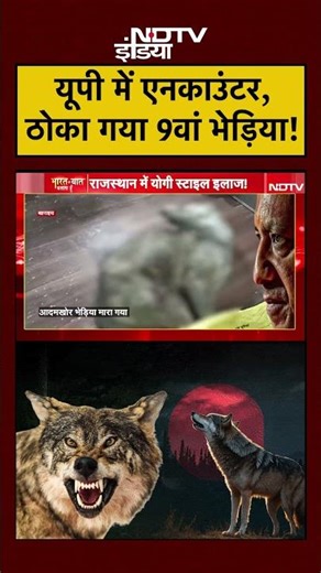 Syed Suhail | ठोका गया 9वां भेड़िया! | CM Yogi | #yogiadityanath #shorts #ytshorts #viral #syedshuail