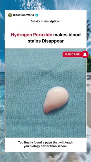 💧 Hydrogen Peroxide Makes 🩸 Blood Stains Disappear ✨ | Biocation World
