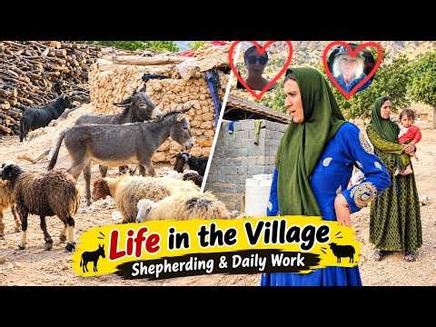 A Hard Day in the Village ❤️ Donkeys, Sheep & Family Life