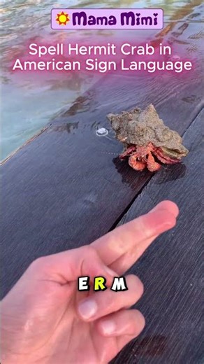 ASL for Kids: Hermit Crab 🦀 Sign Language for Dyslexia, Apraxia, Dyspraxia, and Autism Mama Mimi