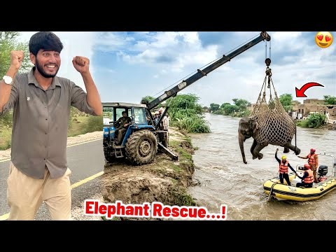 Flood Sy Aya Elephant 🐘 Rescue 🛟 Kr Liya 😍