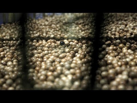 DIRECTO: SORTEO LOTERÍA DE NAVIDAD 2025 | Sorteo extraordinario