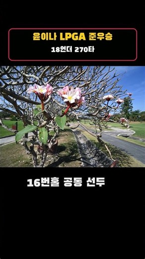 우승이 눈앞이었는데… 17번홀, 그 한 방 #shorts