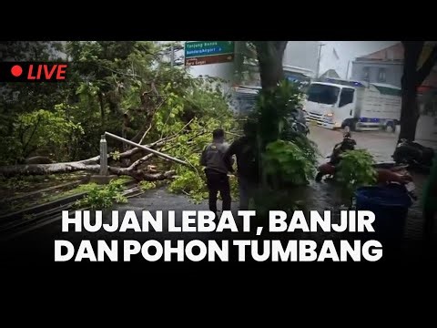 🔴Hujan Lebat Disertai Angin Kencang Mengguyur Wilayah Bali Hingga Pohon Tumbang