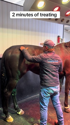 Langeder release therapy. Christian Langeder treating a sore horse. How do I check my sore horse at langederequine.com #horse #christianlangeder #sorehorse #horsesoftiktok #langederequine