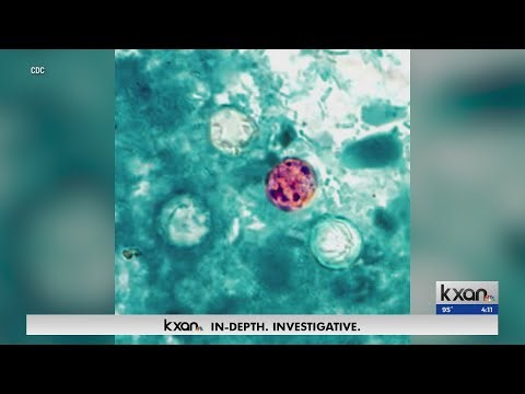 CDC seeks source of parasitic outbreak linked to ‘explosive’ diarrhea in Texas, other states