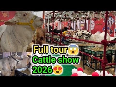 Cattle show full tour 2026😍| mera farm kyun nahi aya😱