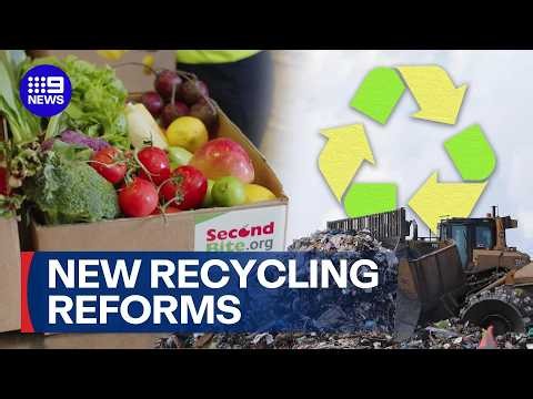 Businesses to redirect produce to those in need under new recycling reforms | 9 News Australia