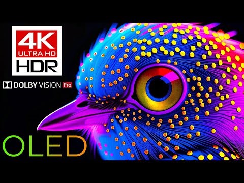 Dolby Atmos • Dolby Vision • 4K Video Ultra Hd • 4K Video • 4K HDR • 4K Video Songs • 4K Videos