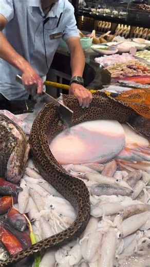 Giant Spotted Eel Cutting at USA Seafood Market #fishing #seafood #catch