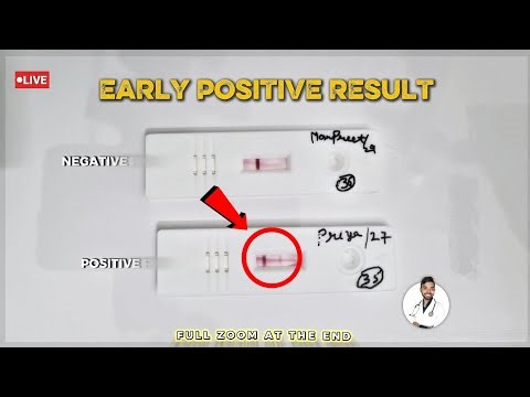 prega news pregnancy test video | live pregnancy test